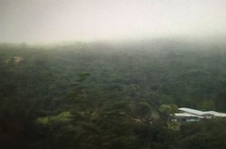 У Бразилії в результаті краху вертольота загинули четверо