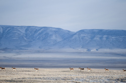 Неподалік Тибету стався землетрус