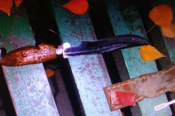 У Борисполі затримали зловмисника, який напав з ножем на 13-річну дитину