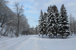  Засніжена Україна 