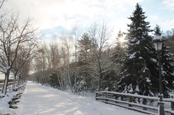 Зима в Україні