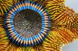 Из подручных средств: уникальные скульптуры из разноцветных карандашей от Дженнифер Маестре 