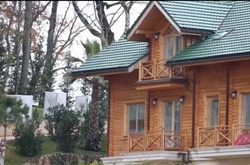 У мережу виклали фото дачі в Сочі, де може жити Янукович