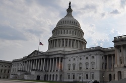 Сенатори США вимагають розслідувати факти втручання РФ у президентські вибори