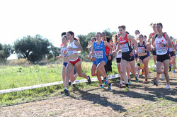 Українки – у четвірці найсильніших команд чемпіонату Європи