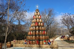 Самые удивительные и странные елки мира