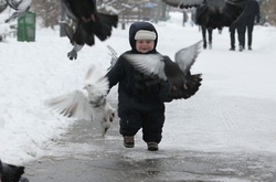 Синоптики прогнозують невеликий сніг у четвер