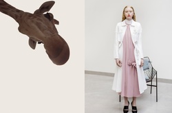 Новый лукбук Karavay: идеальный крой, девушки и жирафы