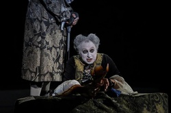 У Києві відбулась прем’єра видовищної вистави-трилера