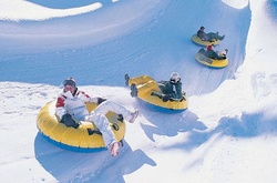 П’ятниця в Україні буде ясною і з плюсовою температурою