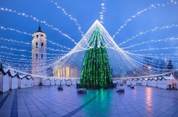 В Вильнюсе зажгли рождественскую елку из 50 тысяч огоньков