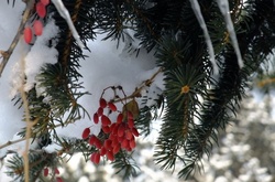 У суботу в Україні істотних опадів не очікується