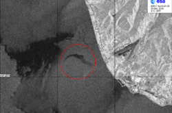 Опубліковано супутниковий знімок місця падіння російського Ту-154 