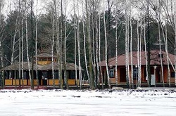 У колишній резиденції Януковича оселилися коні Пржевальського з Чорнобиля