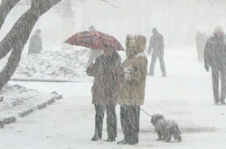 Сьогодні в столиці очікується мокрий сніг