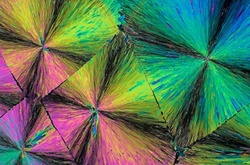 Як виглядає пігулка парацетамолу під мікроскопом. Фотогалерея