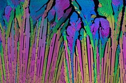 Фотограф показал таблетки парацетамола под микроскопом