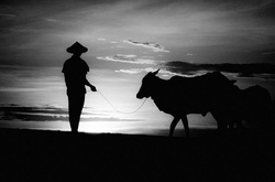 Коли менше означає більше. Неймовірні чорно-білі фото індонезійського майстра