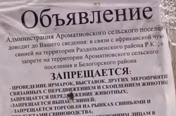 Як у Криму зі свинями воювали