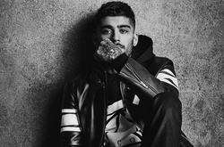 Бойфренд Джиджи Хадид создал коллекцию для Giuseppe Zanotti