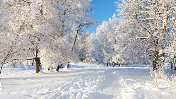 В яких областях України випаде найбільший сніг