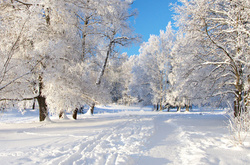 Зима в Україні