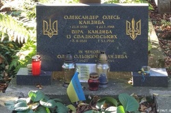 Ексгумація Олександра Олеся була вимушеною, – дипломат