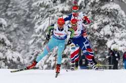 Австрієць  виграв спринт Кубка світу