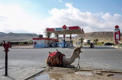 Самые оригинальные автозаправки мира