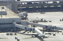 Стрілянина в аеропорту Флориди: 3 людини загинули
