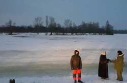 На Оболоні рятували лебедів