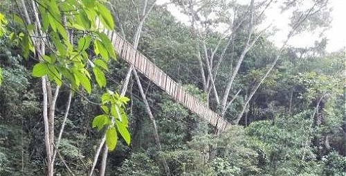 В результаті обвалення моста в Колумбії загинули 11 людей