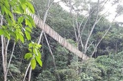 В результаті обвалення моста в Колумбії загинули 11 людей