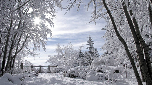 Українцям обіцяють похмуру і сніжну погоду
