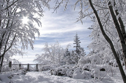 Українцям обіцяють похмуру і сніжну погоду