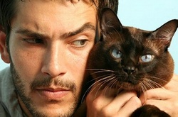 30 причин обменять жену на кошку