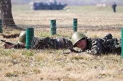 В Україні створили екологічну групу, яка стежитиме за військовими навчаннями 