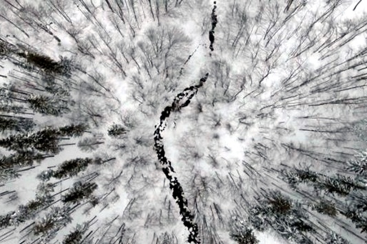  Заснеженные Карпаты: блогер показал зрелищное видео с высоты птичьего полета
