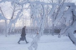 В Україні через обмороження загинуло 40 людей