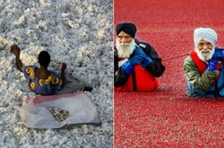 Десять фотографий о людях, которые зарабатывают на жизнь весьма необычным способом