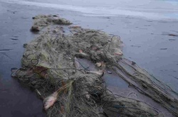 Наловили на 3 млн: у Бердянську судитимуть рибалок-браконьєрів