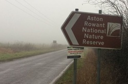 Внаслідок авіакатастрофи у Британії загинув пілот