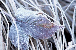 На столицю знову насуваються морози