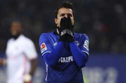 Коноплянка може покинути «Шальке»