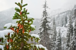 Завтра в Україні хмарно з проясненнями і до -16