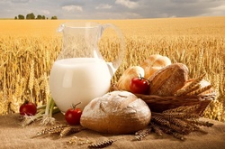 Експорт агропродукції