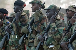 Армія Сенегалу заявила про початок ударів в Гамбії