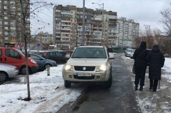 Герой парковки ледь не збив собаку та погрожував пішоходам