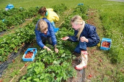 Робота в Польщі