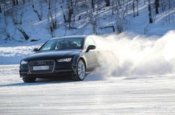 Як майстри зимової їзди на льодовій арені змагалися